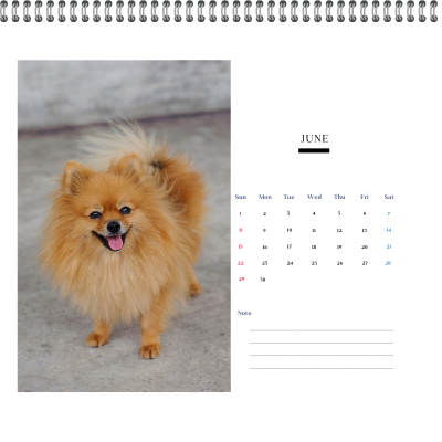 Calendar 2025 Dog Collection